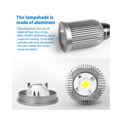 Magnetic Base Stainless Steel Cob Wick LED Lamp (10W)