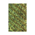 Mobile Phone Skin - 8461