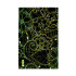 Mobile Phone Skin - 8476