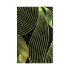 Mobile Phone Skin - 8534