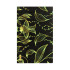 Mobile Phone Skin - 8538
